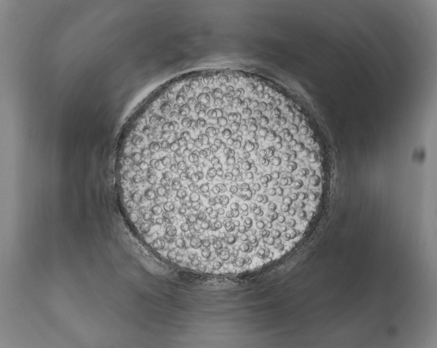 X0000112111216200909151216
