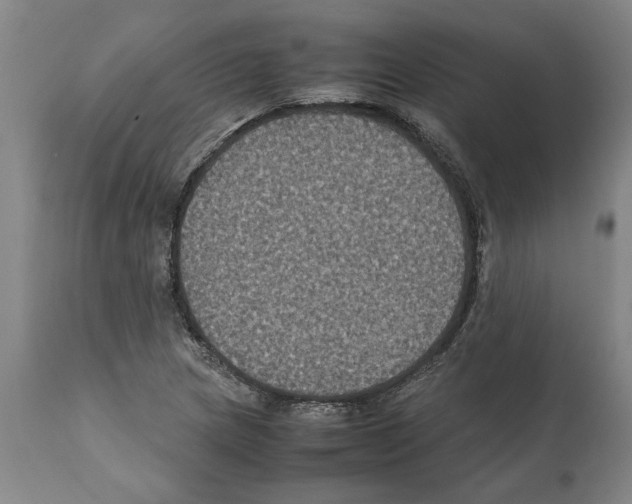 X0000112111217200909151216