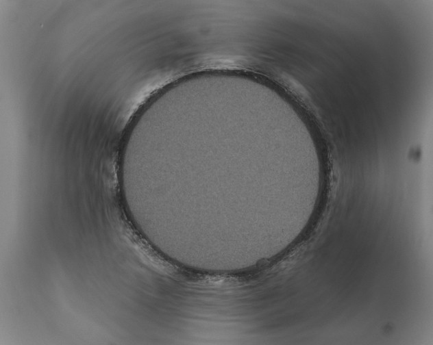 X0000112111218200909151216