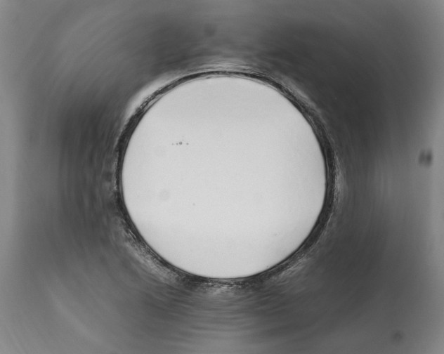 X0000112111222200909151216
