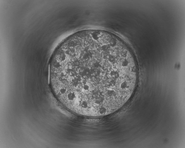 X0000112111223200909151216