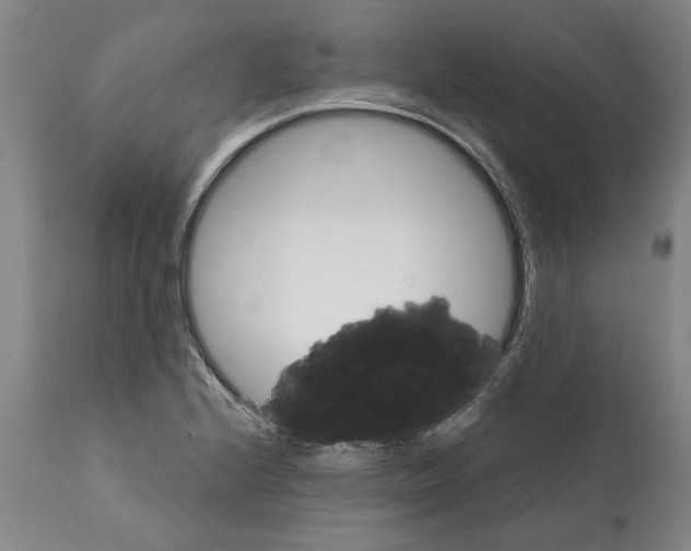 X0000112111224200909151216