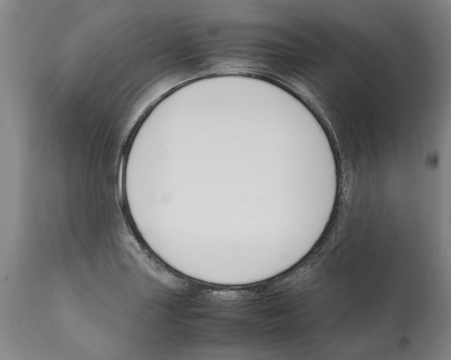 X0000112111227200909151217