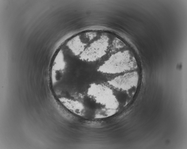 X0000112111229200909151217