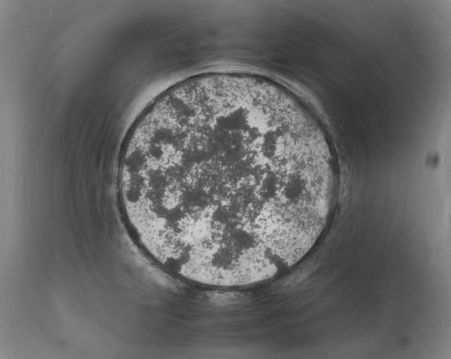 X0000112111231200909151217