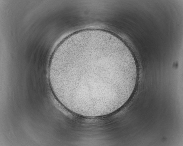 X0000112111232200909151217