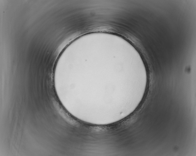 X0000112111234200909151217