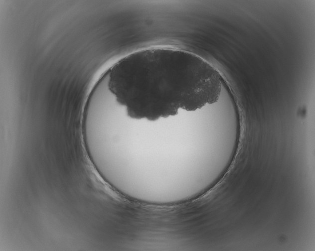 X0000112111240200909151217