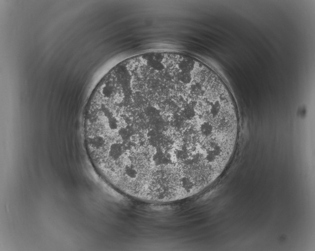X0000112111243200909151217