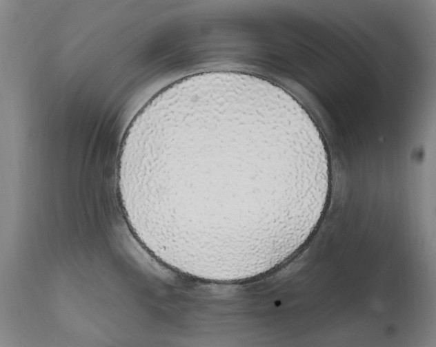 X0000112111244200909151217