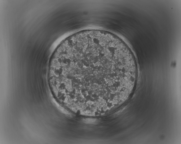X0000112111245200909151217