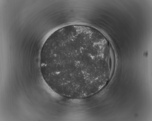 X0000112111246200909151217