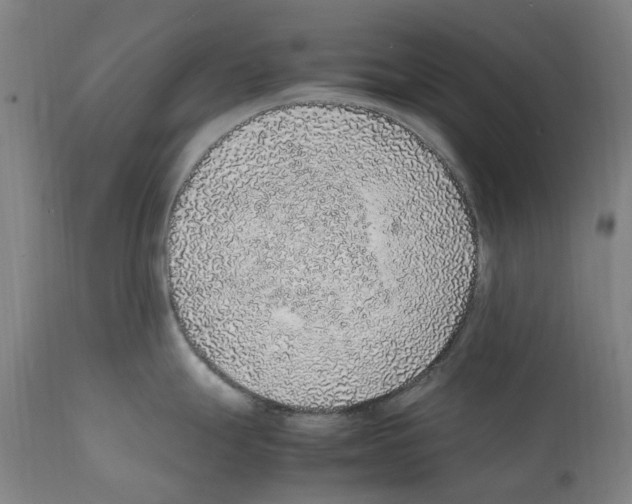 X0000112111247200909151217