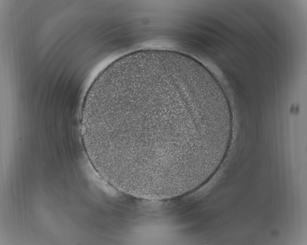 X0000112111248200909151217