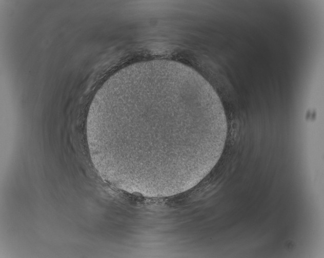 X0000112111249200909151216