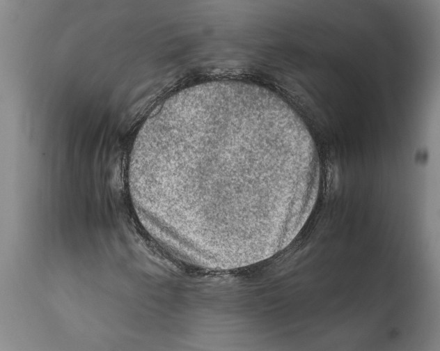 X0000112111250200909151216