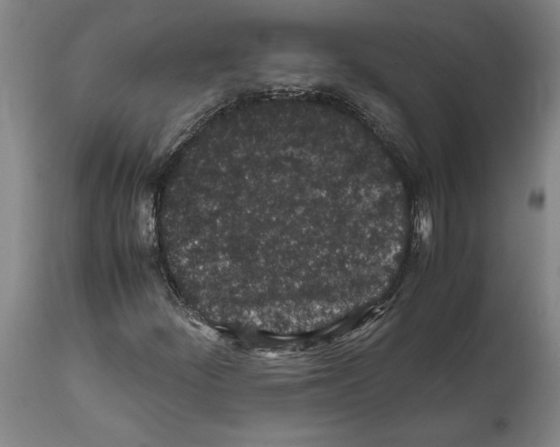 X0000112111252200909151216