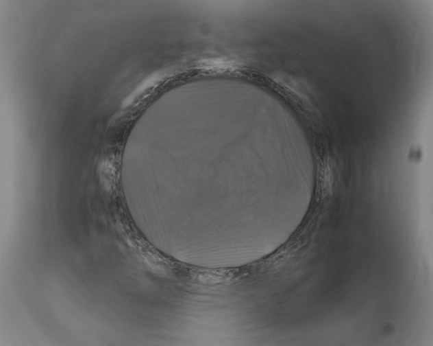 X0000112111254200909151216