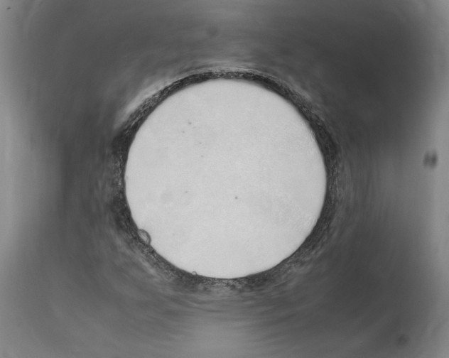 X0000112111255200909151216