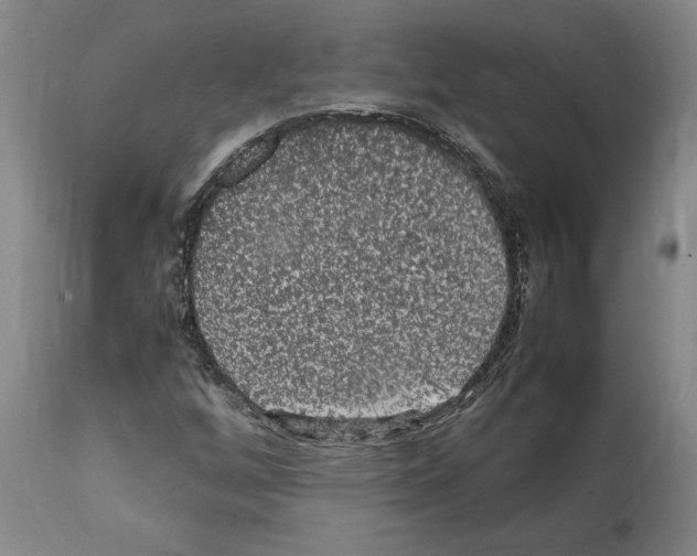 X0000112111256200909151216
