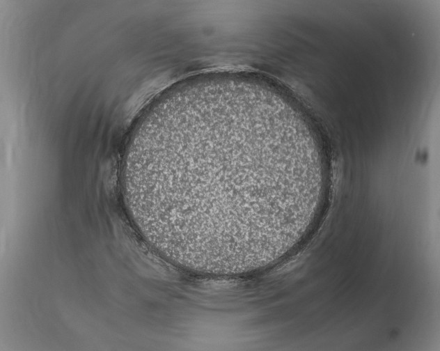 X0000112111257200909151216