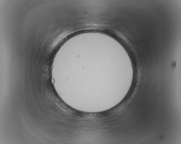 X0000112111259200909151216