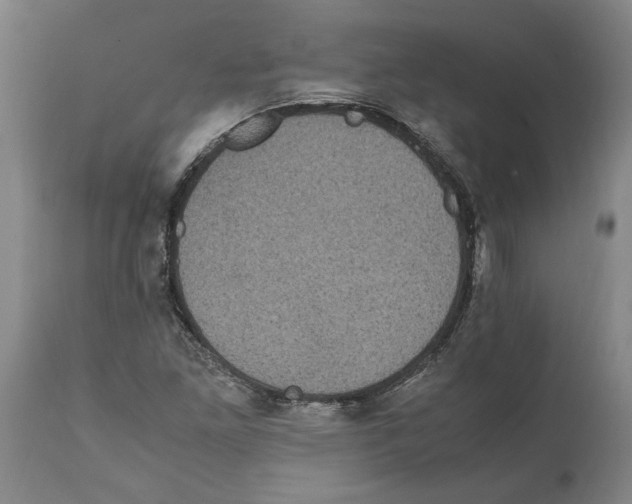X0000112111261200909151216
