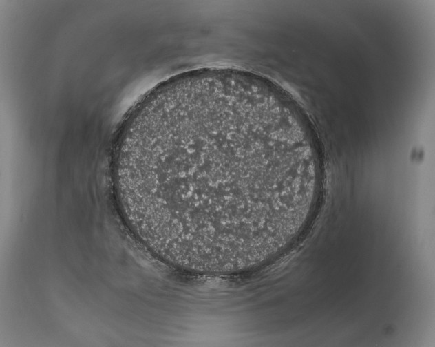 X0000112111263200909151216