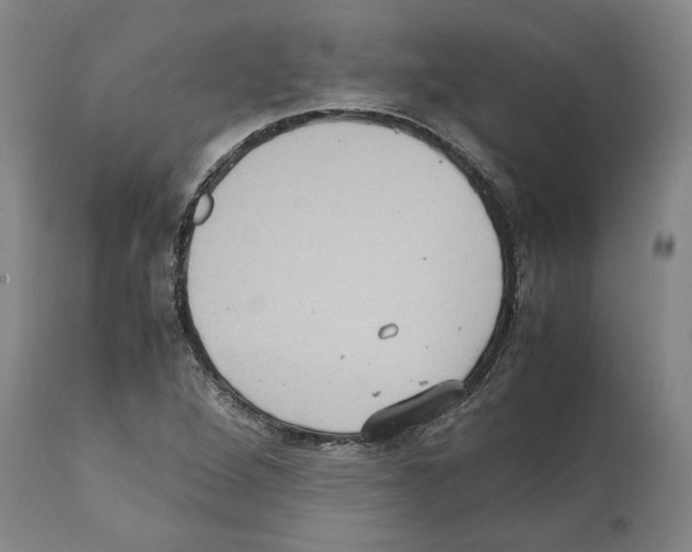 X0000112111264200909151216