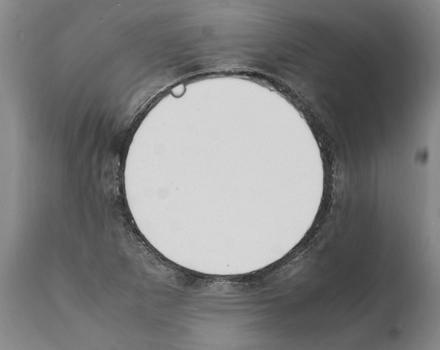 X0000112111265200909151216