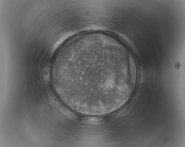 X0000112111266200909151216