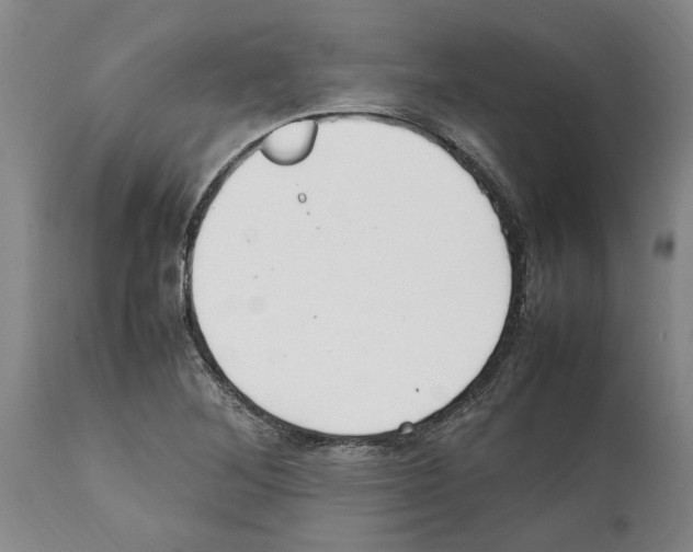 X0000112111268200909151216