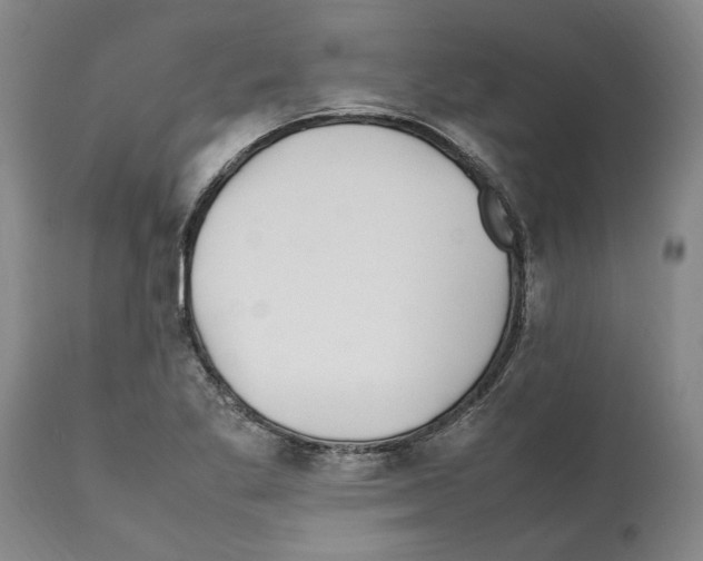 X0000112111269200909151216