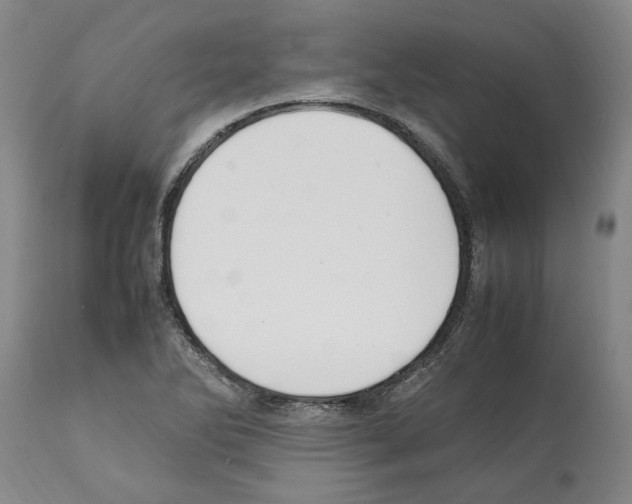 X0000112111270200909151216