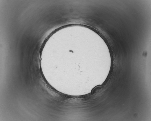 X0000112111272200909151216
