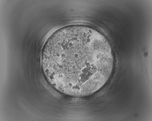 X0000112111275200909151216