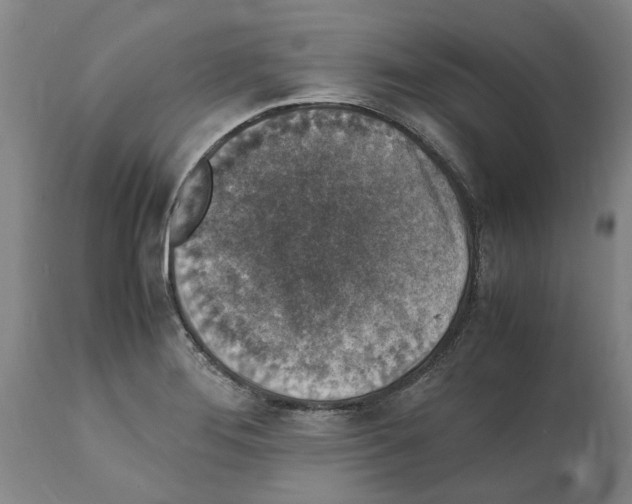 X0000112111276200909151216