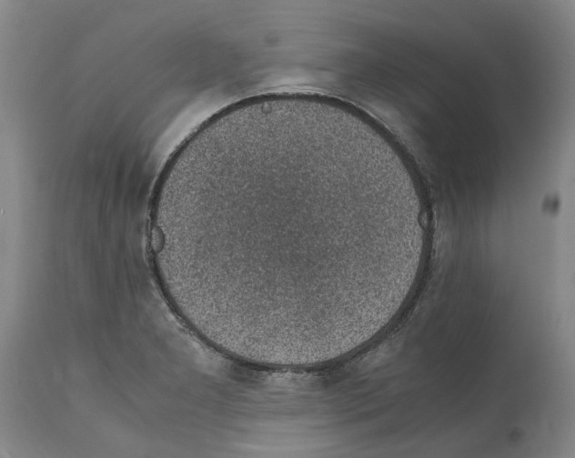 X0000112111277200909151216