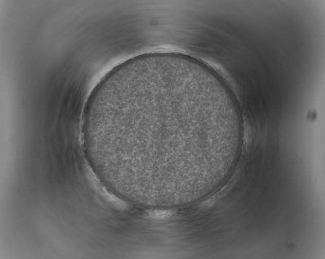 X0000112111278200909151216