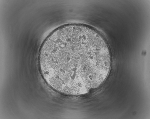 X0000112111279200909151216