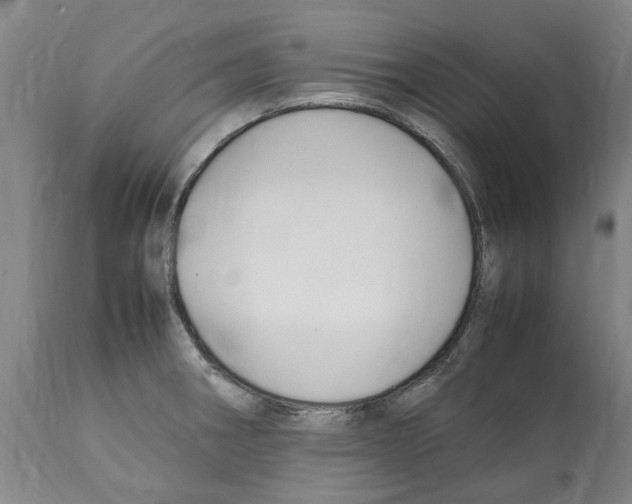 X0000112111282200909151216