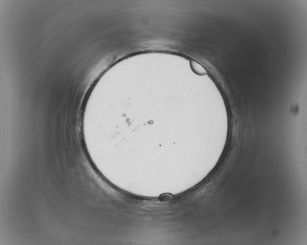 X0000112111285200909151216
