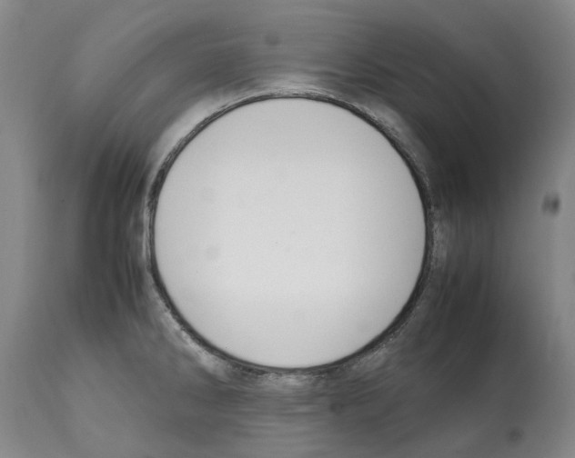 X0000112111286200909151216