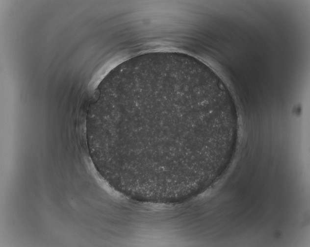 X0000112111289200909151216