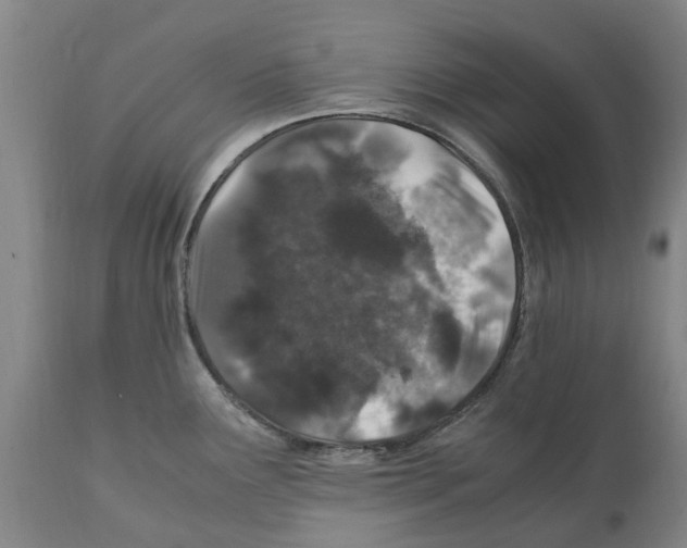 X0000112111291200909151216