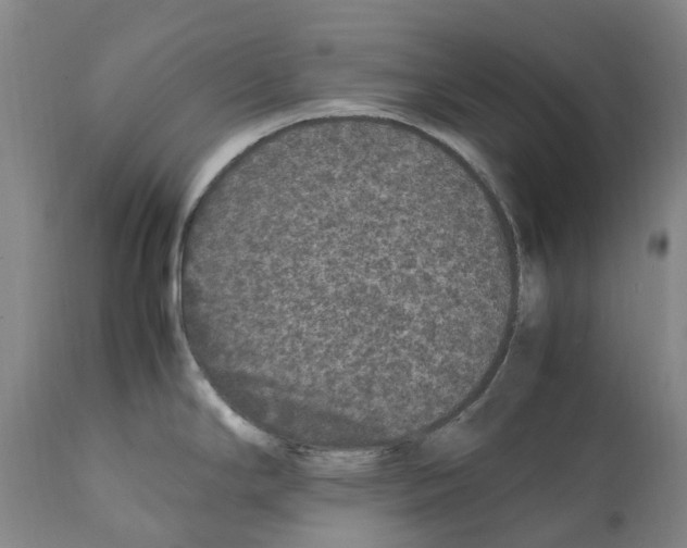 X0000112111294200909151216
