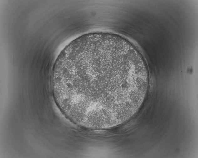 X0000112111295200909151216