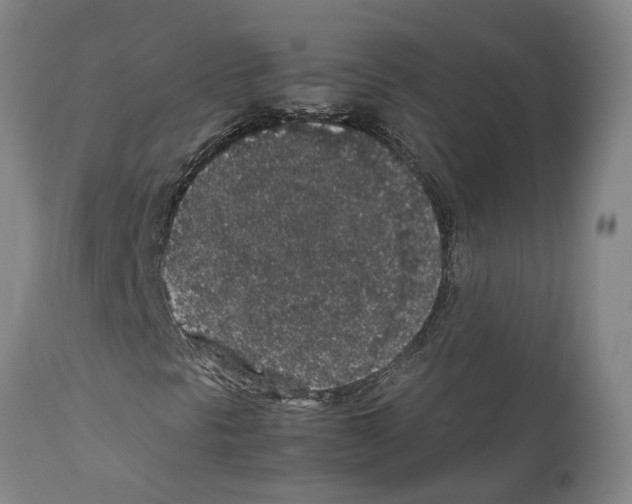 X0000112111297200909151215