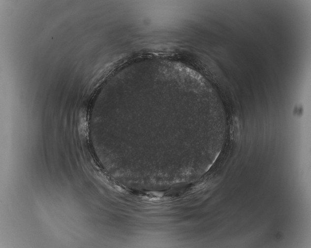 X0000112111298200909151215