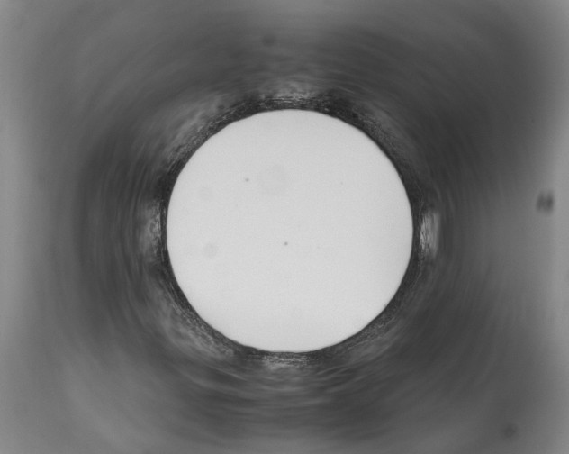 X0000112111299200909151215